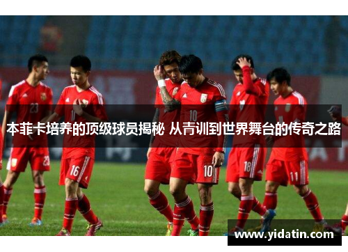 本菲卡培养的顶级球员揭秘 从青训到世界舞台的传奇之路