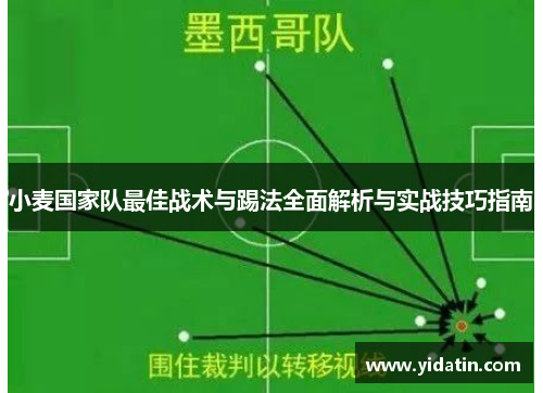 小麦国家队最佳战术与踢法全面解析与实战技巧指南